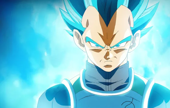 DBS, alien, anime, power, martial artist, warrior, manga, powerful
