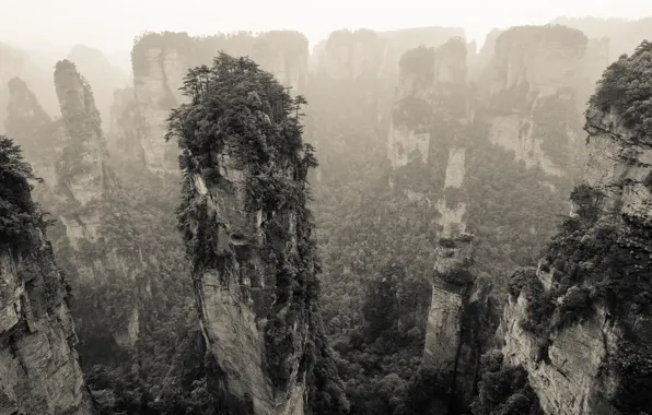 Картинка горы, природа, скалы, растительность, панорама, Китай