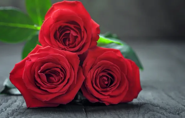 Картинка букет, red, flowers, romantic, Valentine's Day, roses, красные розы