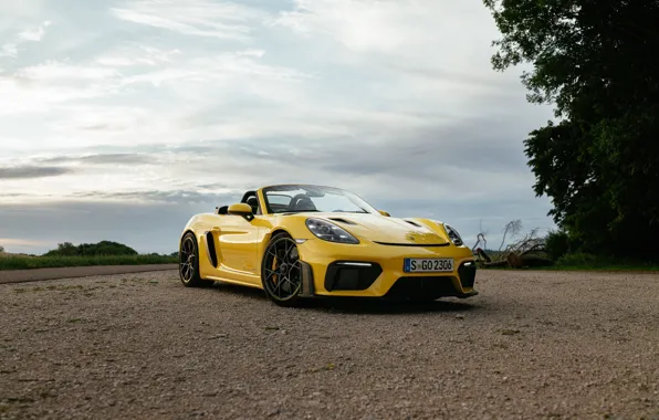Porsche, yellow, 718, Porsche 718 Spyder RS
