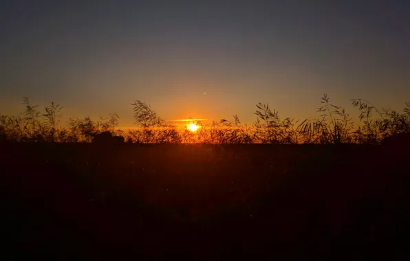 СОЛНЦЕ, ЗАКАТ, ВЕЧЕР