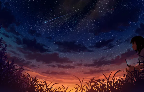 Девушка, ночь, метеор, арт, телефон, звездное небо, мобильник, sakais3211