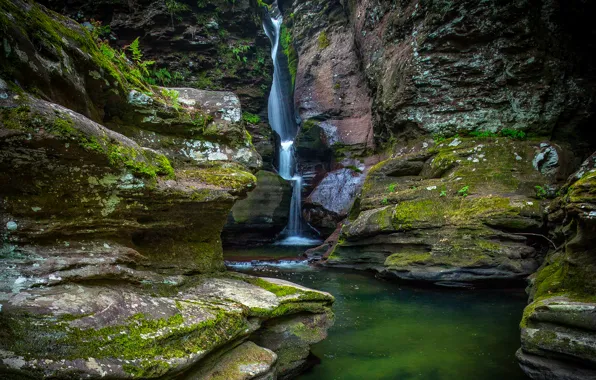 Скала, камни, водопад, мох, США, Ricketts Glen State Park