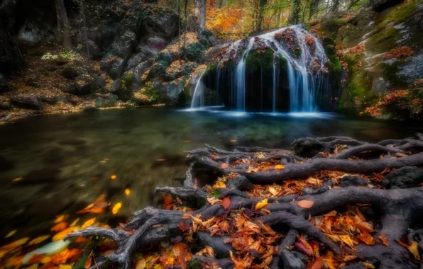 Картинка осень, листья, корни, река, водопад, Россия, Крым, опавшая листва