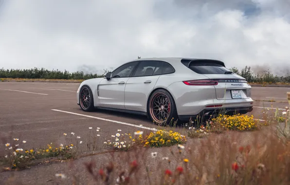 Porsche, Panamera, Clouds, Flowers, Grey, Parking, Porshce Panamera