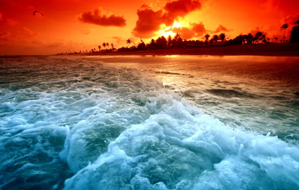 Картинка волны, пляж, закат, пальмы, берег