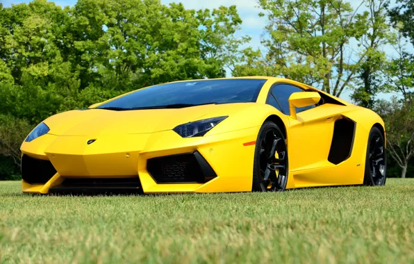 Картинка Lambo, yellow, aventador, lp700-4