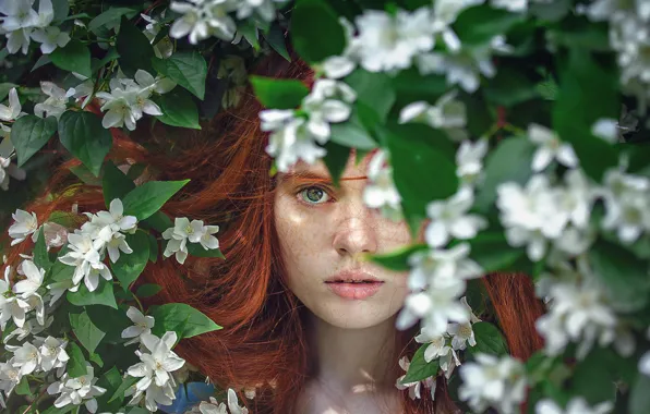 Дерево, листва, веснушки, green eyes, цветки, flowers, зеленые глаза, tree