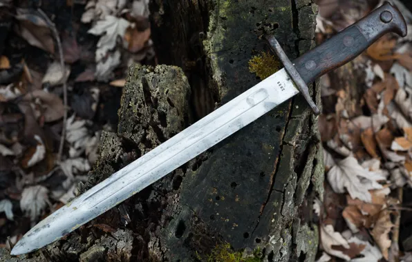Оружие, штык нож, M1892, Krag Bayonet