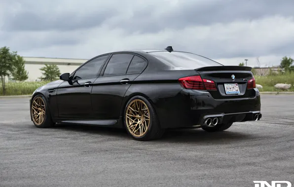 BMW, Muscle, Black, Tuning, F10, IND, GoldWheels