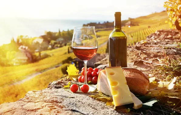 Солнце, лучи, вино, бокал, сыр, виноград, grape, cheese