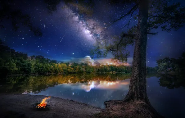 Лес, небо, пейзаж, ночь, природа, озеро, отражение, звёзды