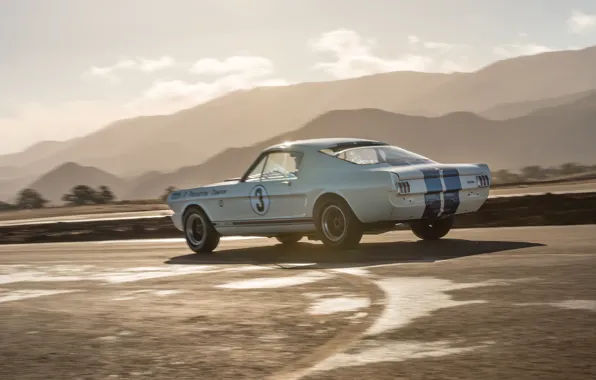 Картинка Mustang, Ford, Shelby, 1965, GT350, Shelby GT350