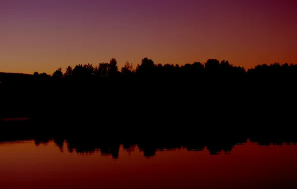 Картинка лес, закат, озеро, forest, sunset, lake