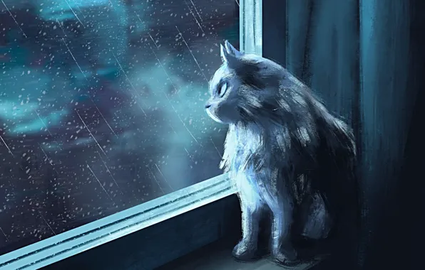 Картинка кошка, дождь, интерьер