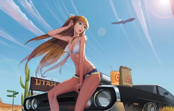 Машина, девушка, отдых, шорты, арт, напиток, neon genesis evangelion, soryu asuka langley