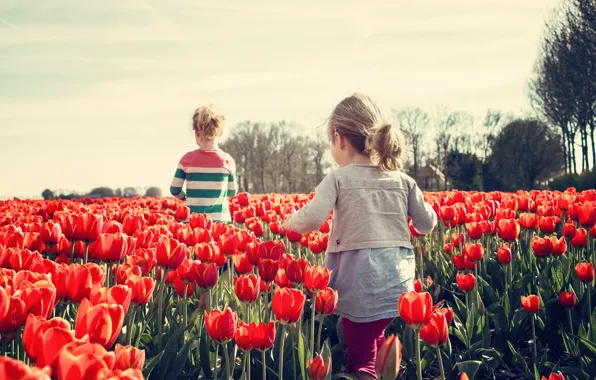 Картинка Весна, Тюльпаны, Дети, Ребенок, Двое, Девочки, Spring, Tulips