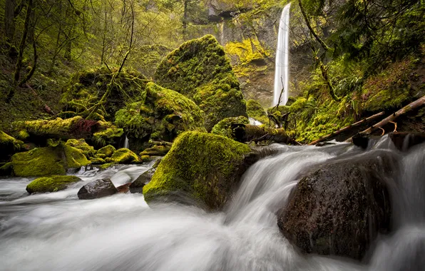 Картинка лес, камни, водопад, мох, Oregon, Columbia River Gorge, Elowah Falls