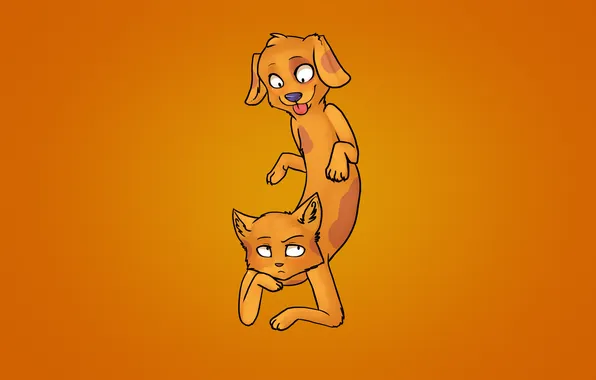 Картинка оранжевый, фон, кот и пес, CatDog, Котопес