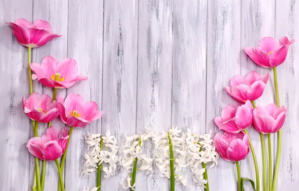 Картинка цветы, тюльпаны, wood, pink, tulips, гиацинты