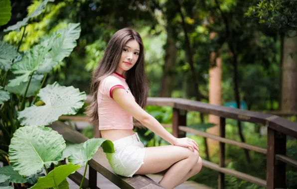 Взгляд, девушка, волосы, азиатка, милашка