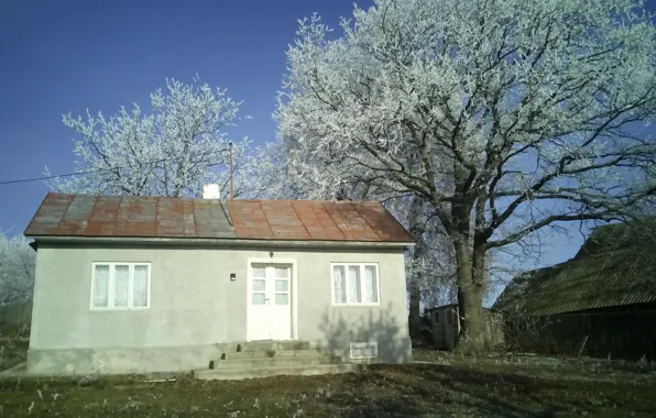 House, nature, wood, snow, goodlife