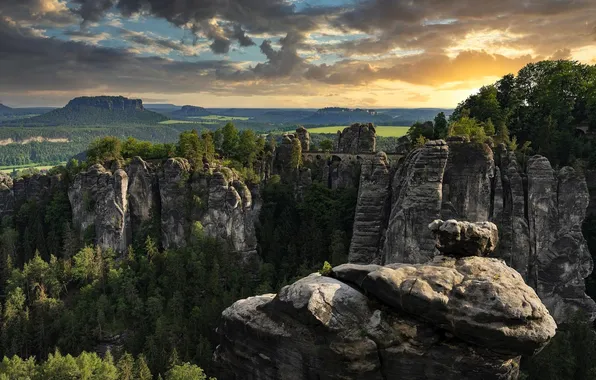 Картинка forest, trees, landscape, nature, mountains, rocks