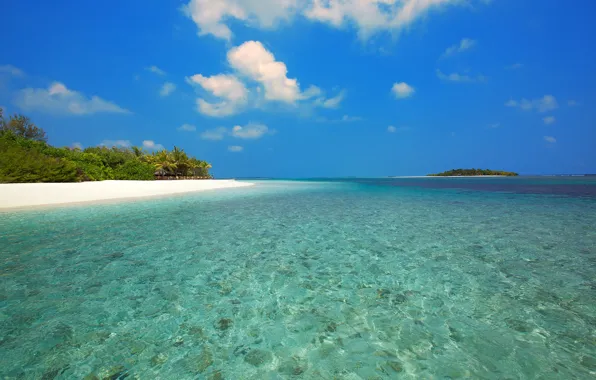 Картинка море, пляж, острова, тропики, отдых, Мальдивы