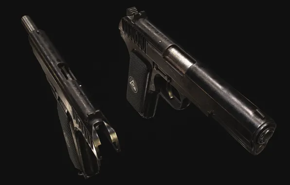 Россия, Самозарядный пистолет, Тульский Токарева, ТТ-30