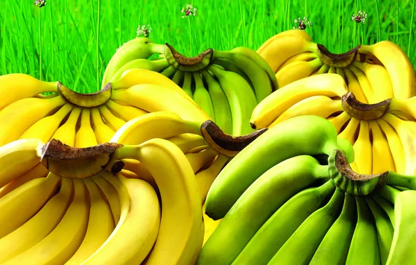 Зелень, трава, желтые, зеленые, бананы, фрукты, много, крупным планом