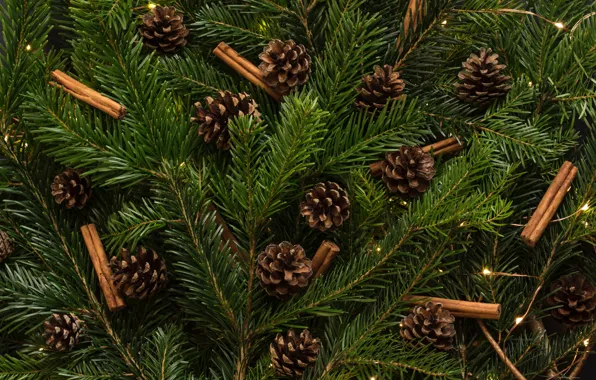 Картинка green, christmas tree, cinnamon sticks