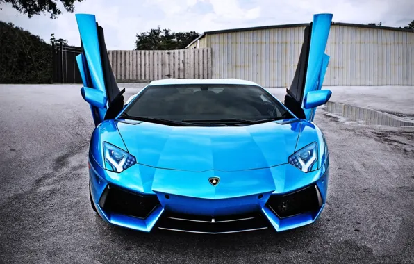Car, вверх, Lamborghini, двери, blue, LP700-4, Aventador, door