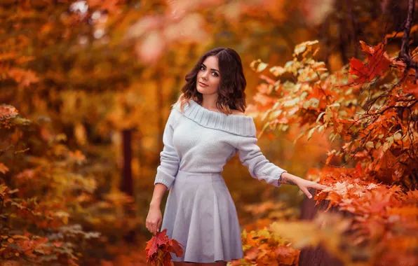 Картинка осень, взгляд, листья, девушка, парк, фото, свитер, Ксения
