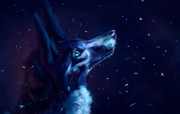Картинка снег, ночь, волк, by AlaxendrA