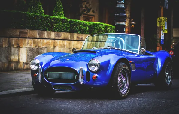 Shelby, Улица, передок, Cobra