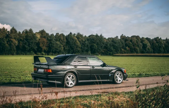 Картинка Mercedes-Benz, Mercedes, 1990, 190, Mercedes-Benz 190 E 2.5-16 Evolution II