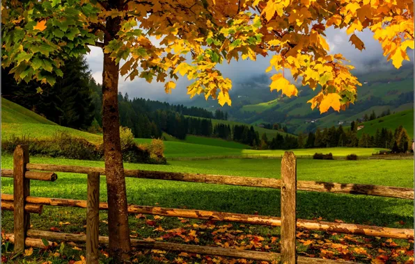 Картинка дорога, осень, лес, небо, трава, листья, деревья, горы