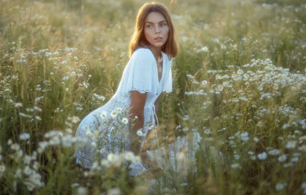 Картинка лето, девушка, цветы, поза, ромашки, платье, луг, Serge Zhodik
