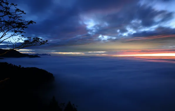Картинка небо, облака, деревья, закат, ветки, туман, Вечер, дымка