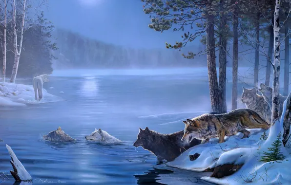Картинка лед, лес, деревья, болото, волки