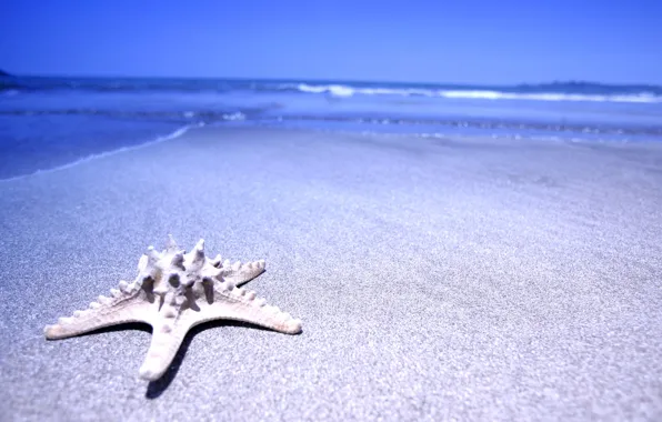Картинка песок, море, вода, звезда