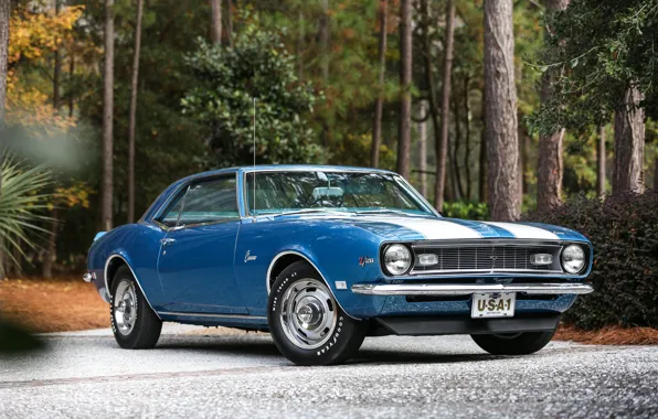 Картинка Chevrolet, Camaro, Blue, 1968, z28, Classicб whiteб stripes