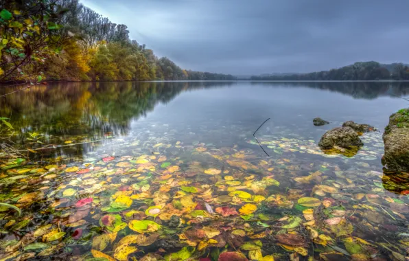 Картинка озеро, Германия., Baden-Württemberg, Schwarzwald, Zielfinger See