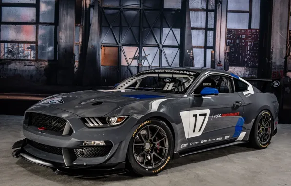 Картинка Muscle, Race, Ford Mustang, Gray, GT4, Vehicle