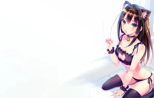 Girl, sexy, lingerie, pantsu, bra, cleavage, panties, thighhighs