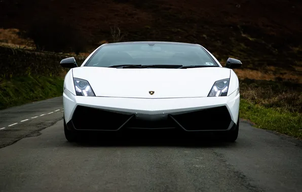 Картинка белый, white, lamborghini, передок, свет фар, ламборгини, lp570-4, gallardo superleggera