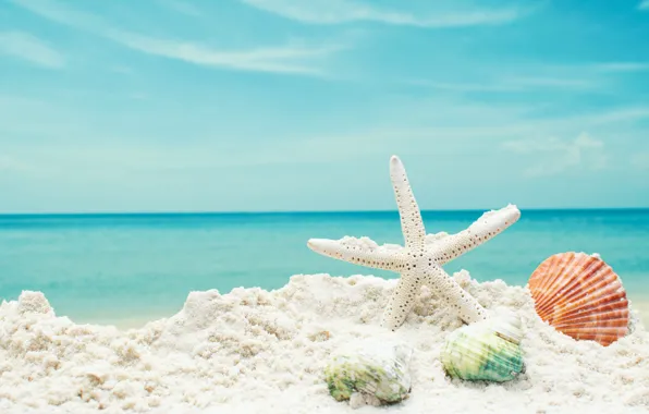 Картинка песок, море, пляж, звезда, ракушки, summer, beach, sea