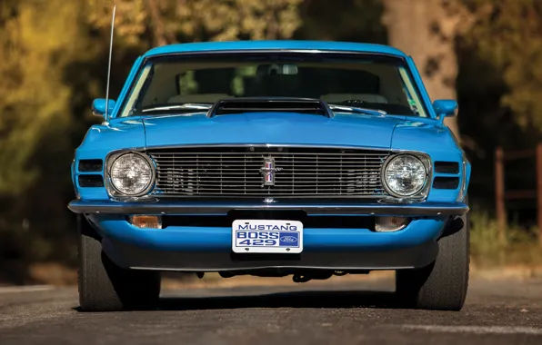 Mustang, Ford, 1970, Boss