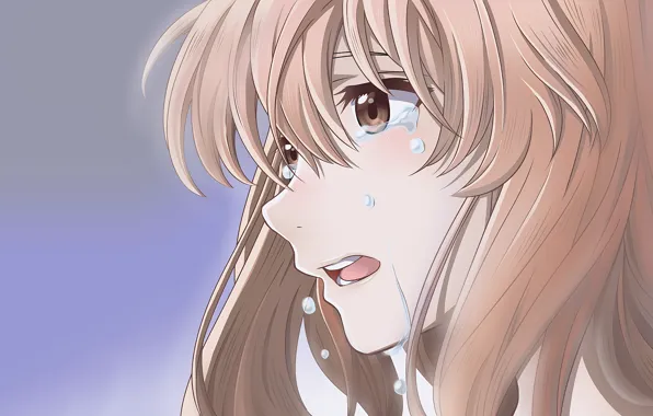 Фон, арт, девочка, слёзы, драма, Форма голоса, Koe No Katachi