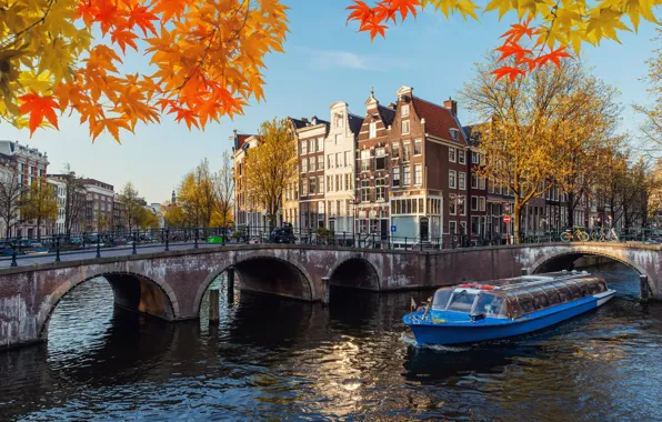 Картинка осень, листья, ветки, мост, город, лодка, здания, Амстердам